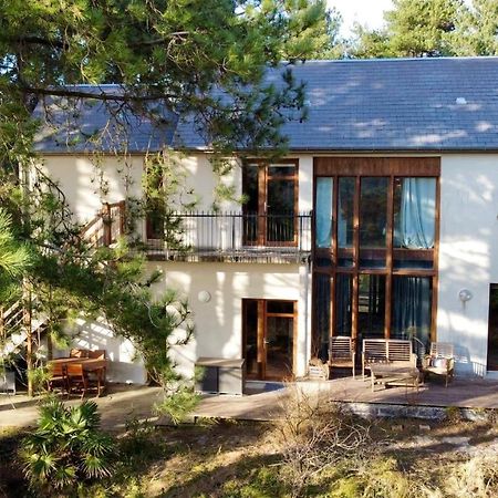 La Villa Dans Les Pins Канів Екстер'єр фото